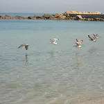 Appartamento Gallipoli Apartamento *