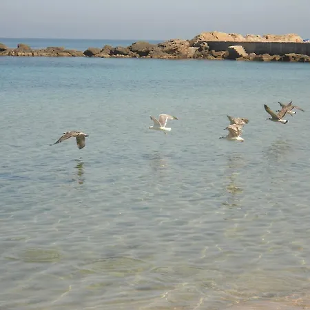 Appartamento Gallipoli Lägenhet *