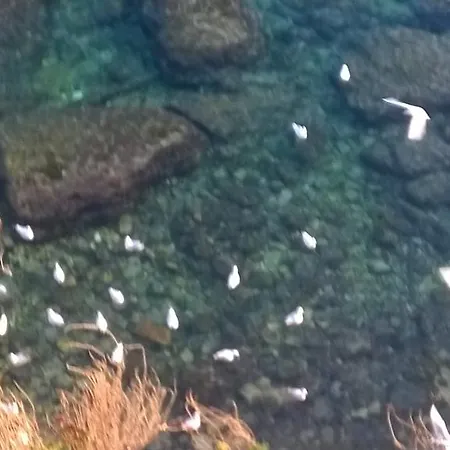 Lägenhet Appartamento Gallipoli *