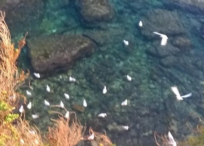 Апартаменты Appartamento Gallipoli *